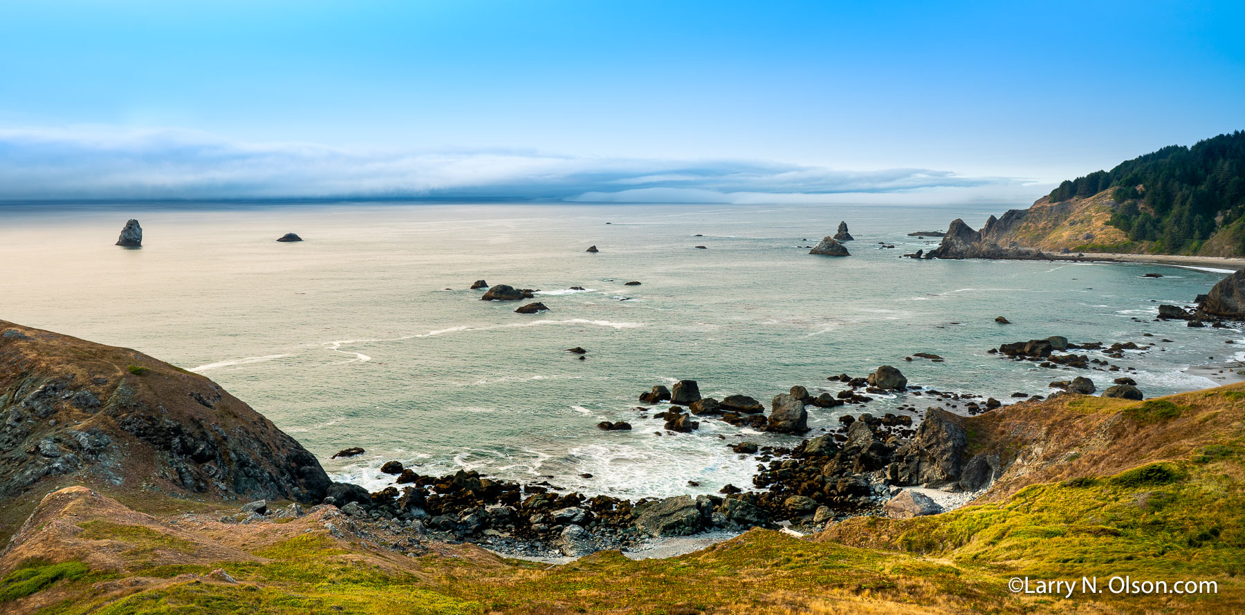 Samual Boardman State Park #3, Oregon Coast | 