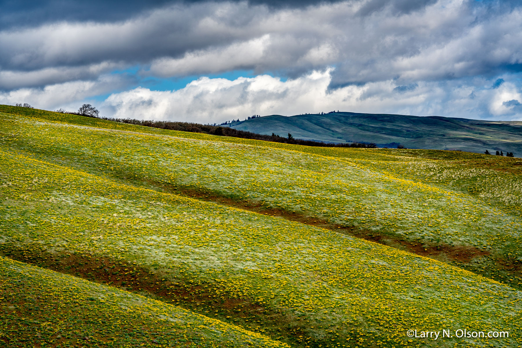 Seven Mile Hill, The Dalles, OR | 