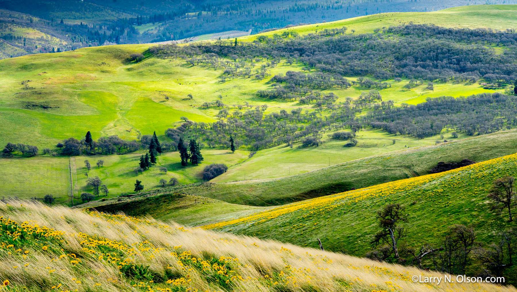 Seven Mile Hill, The Dalles, OR | 