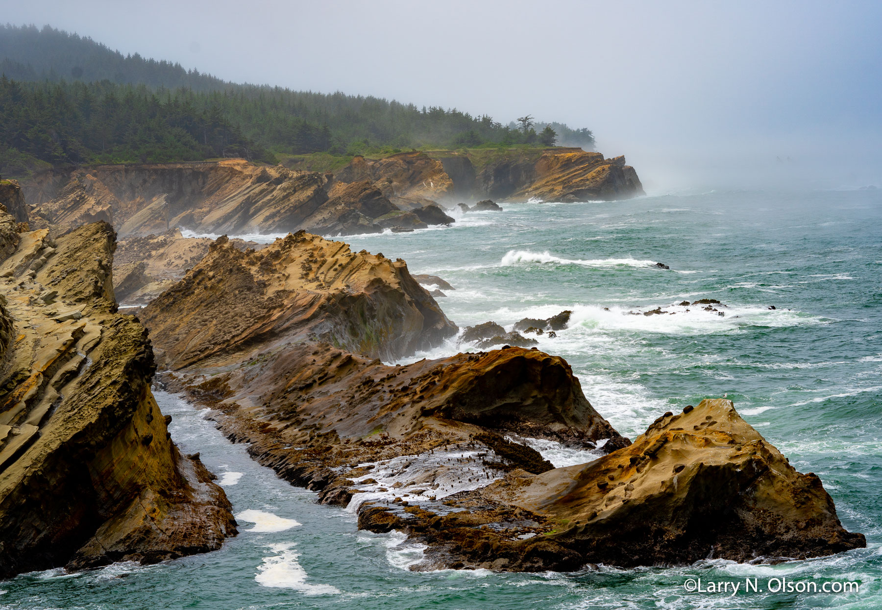 Shore Acres State Park, OR | 