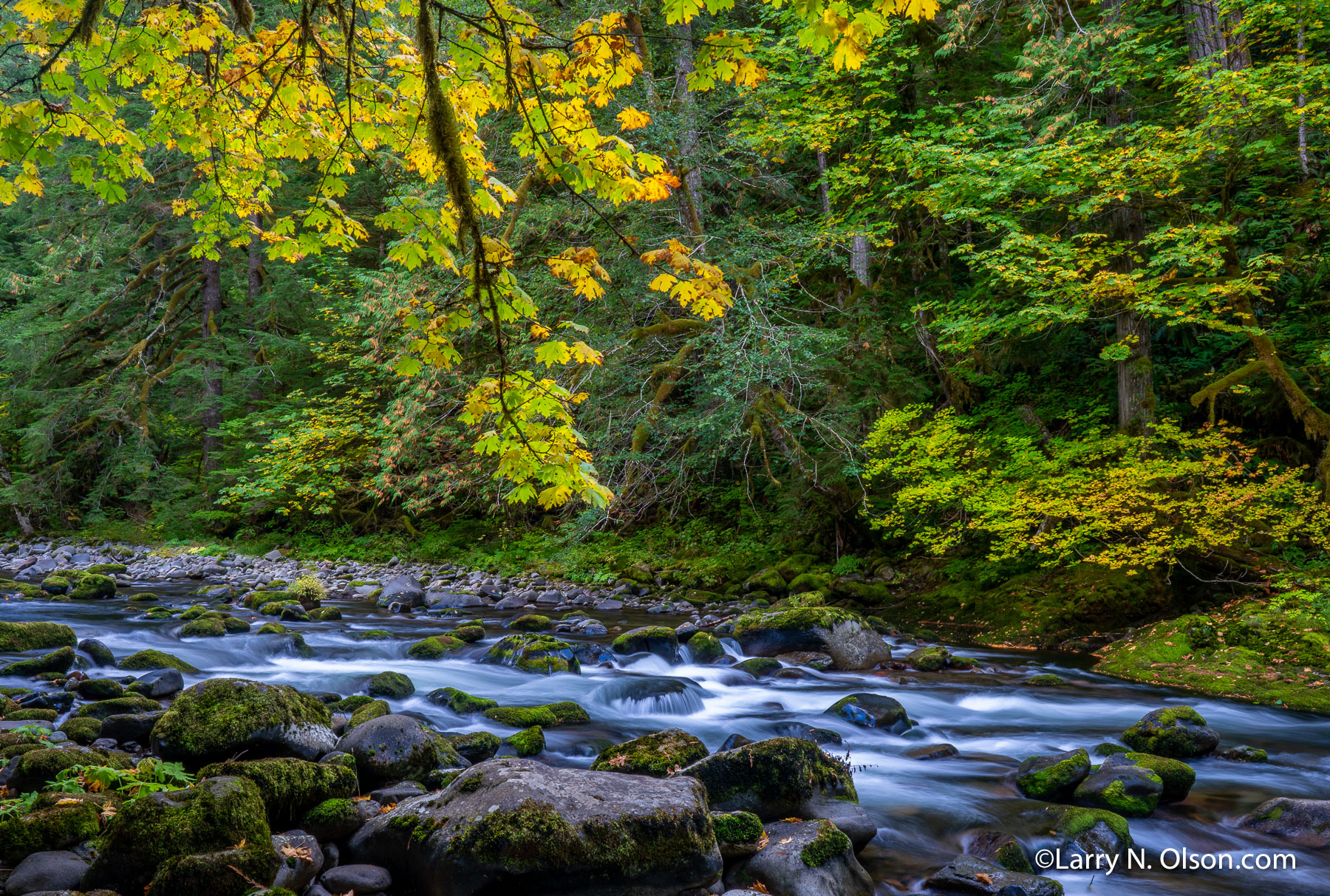 Salmon River, OR | 