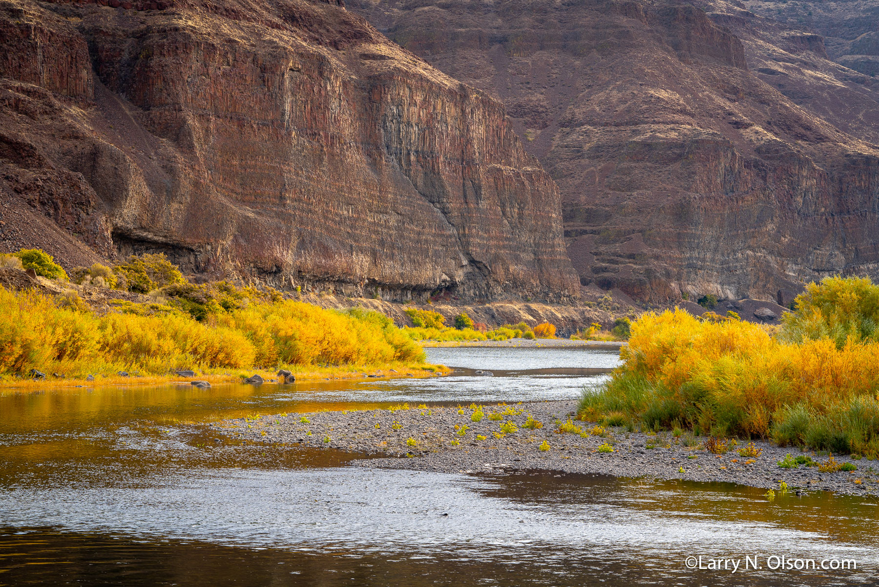 Cottonwood Canyon, John Day River, OR | Early morning in the fall along the willow lined John Day River in Oregon