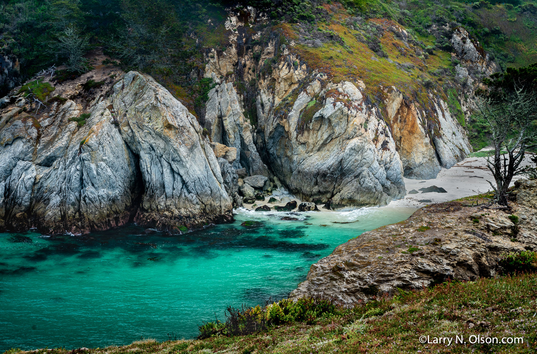 Point Lobos State Natural Reserve, CA | 