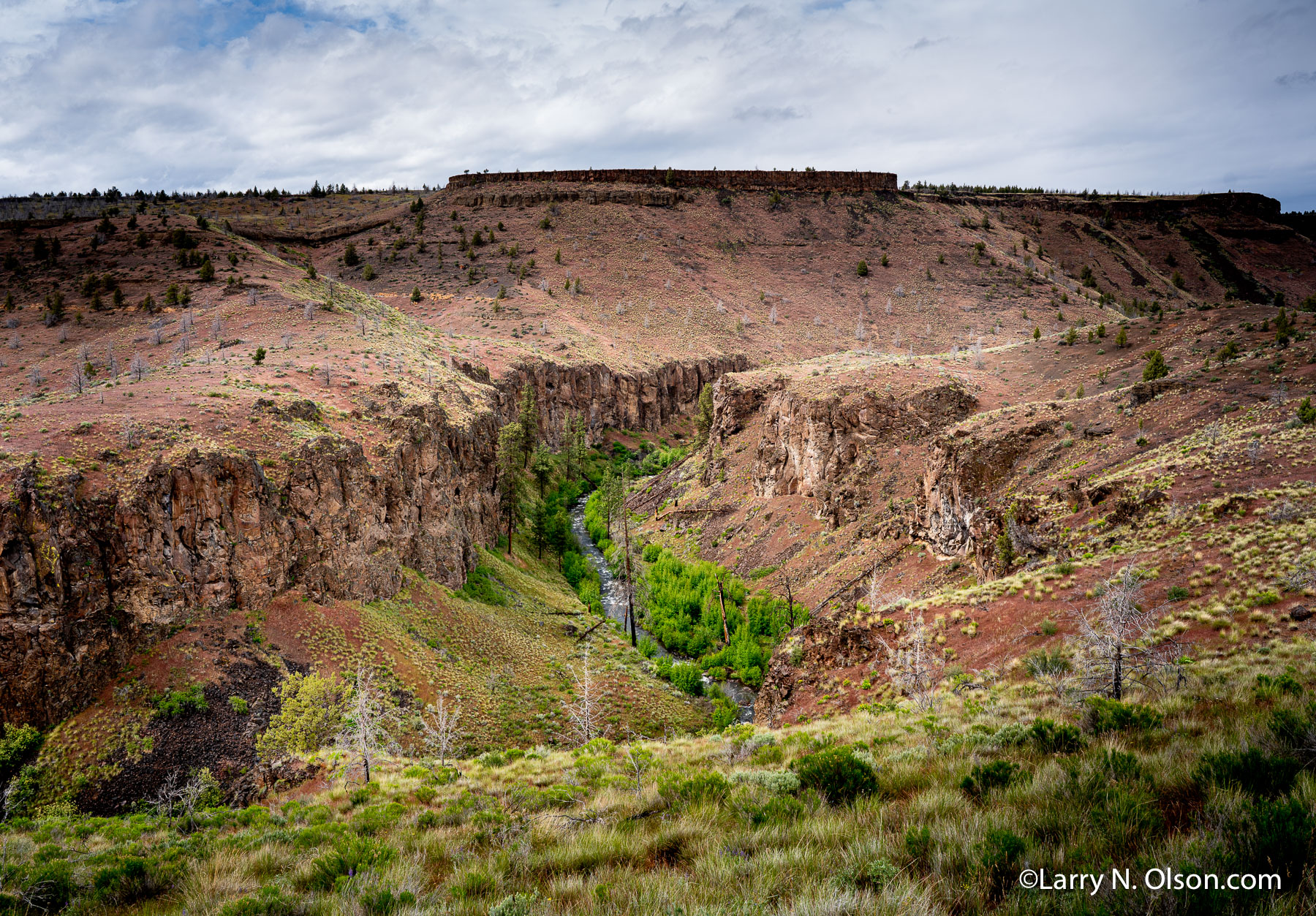 Whychus Creek, Alder Springs,  Oregon | 