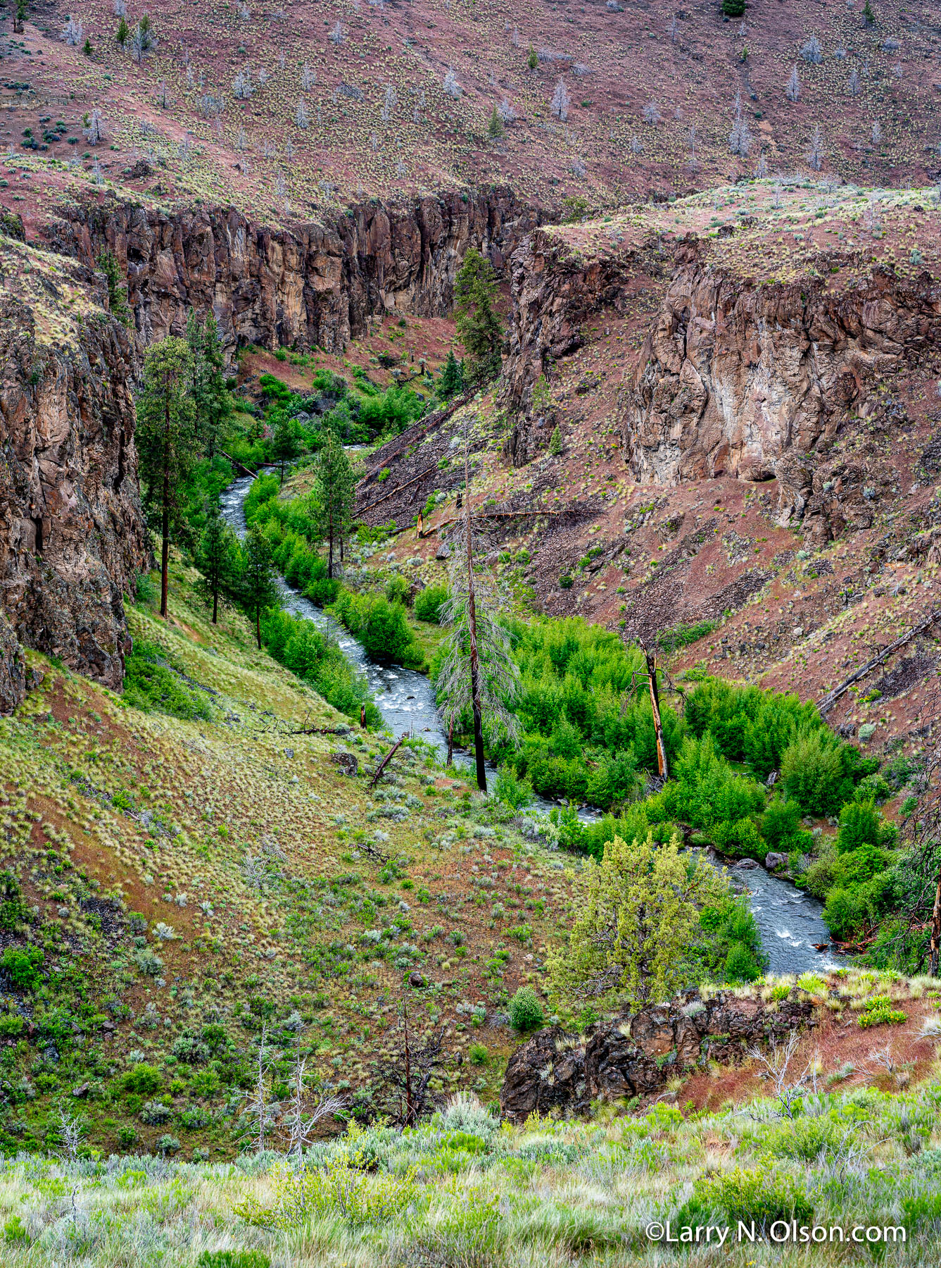 Whychus Creek, Alder Springs,  Oregon | 