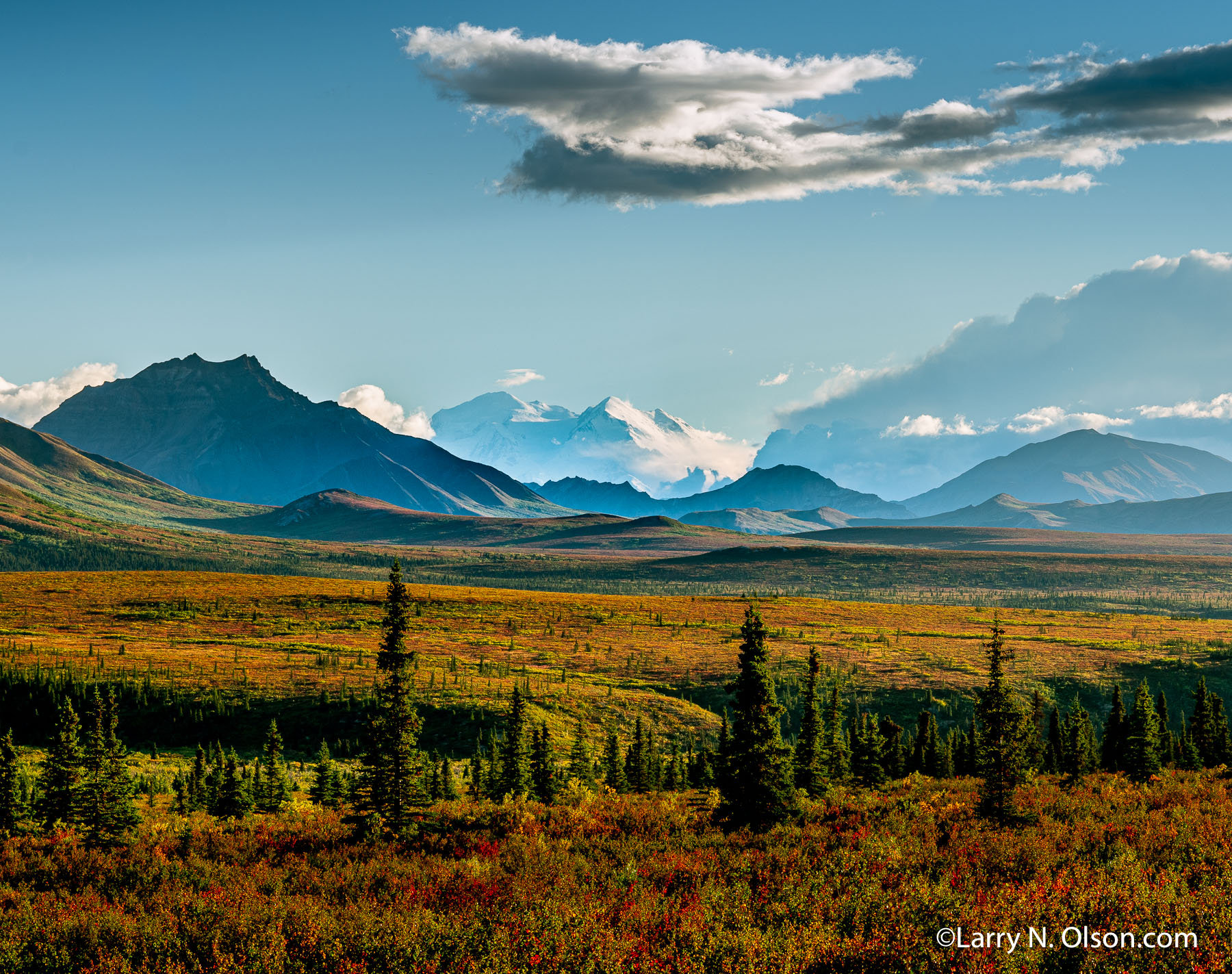 Denali Wilderness, Denali National Park, Alaska | 