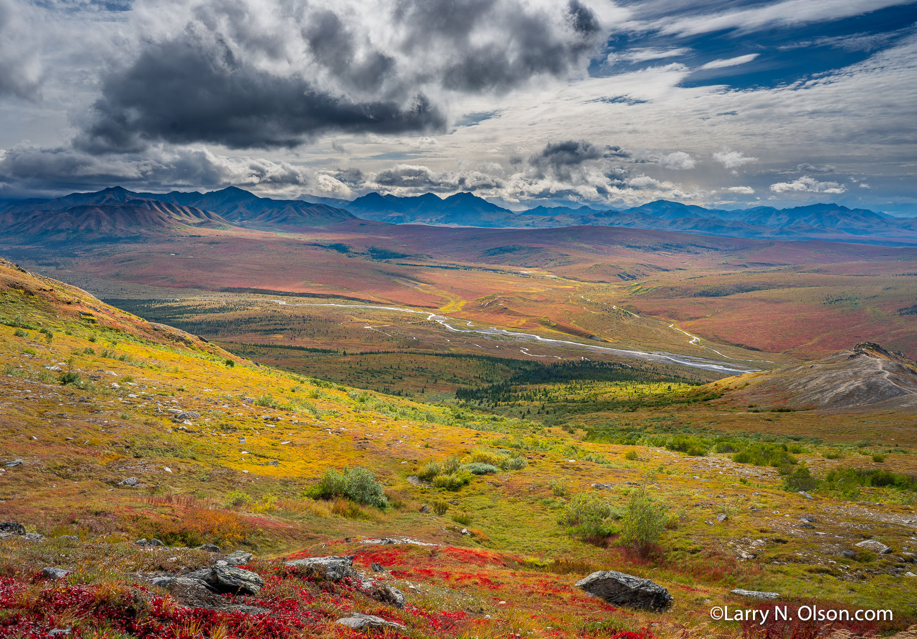 Savage River, Denali National Park, Alaska | 