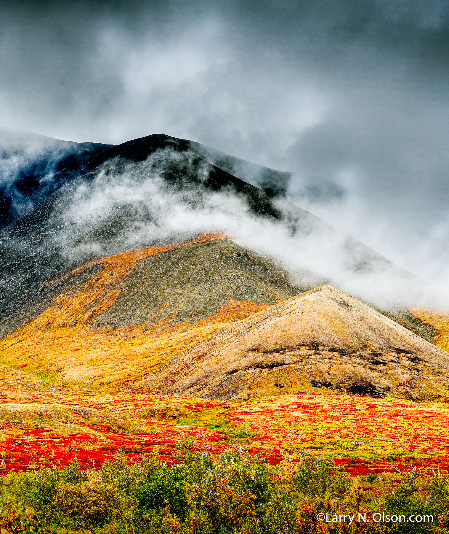 Sable Pass, Denali National Park, Alaska | 