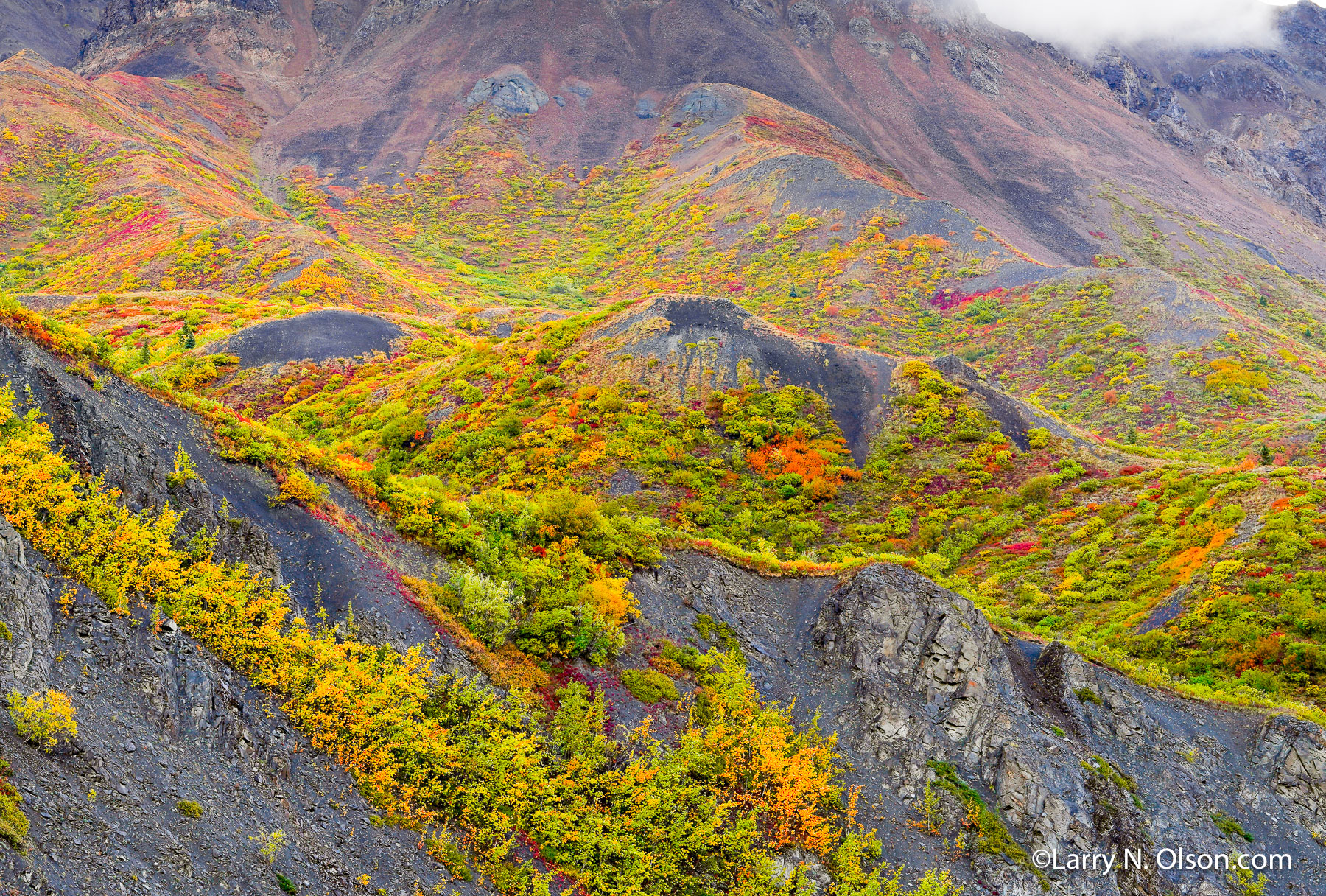 Igloo Mountain, Denali National Park, Alaska | 