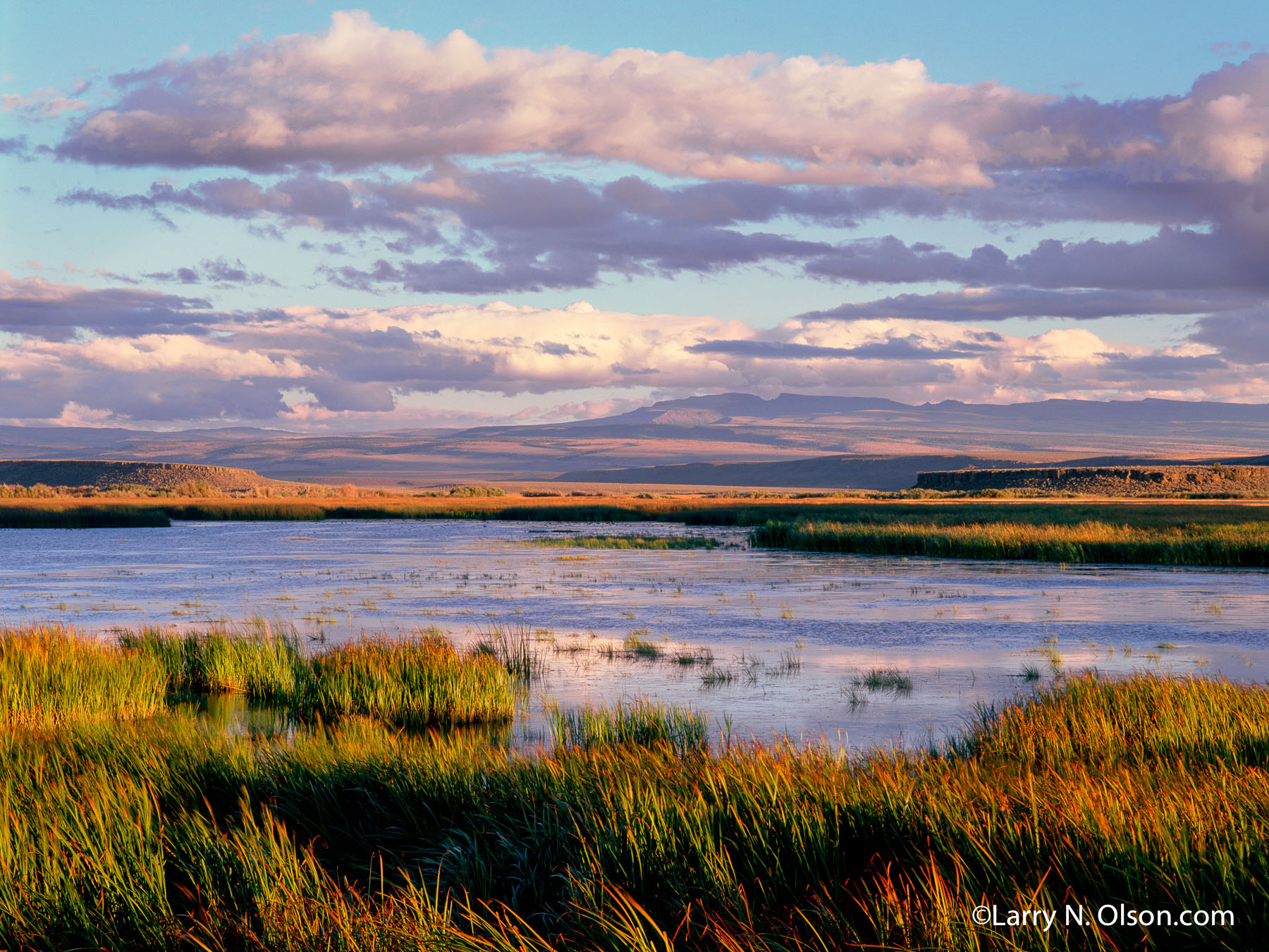 Buena Vista Ponds, Malheur Wildlife Refuge, OR | The late afternoon light creates a vivid landscape in the Oregon High Desert. The wetlands are extreamly important for the birds on the Pacific Flyway.