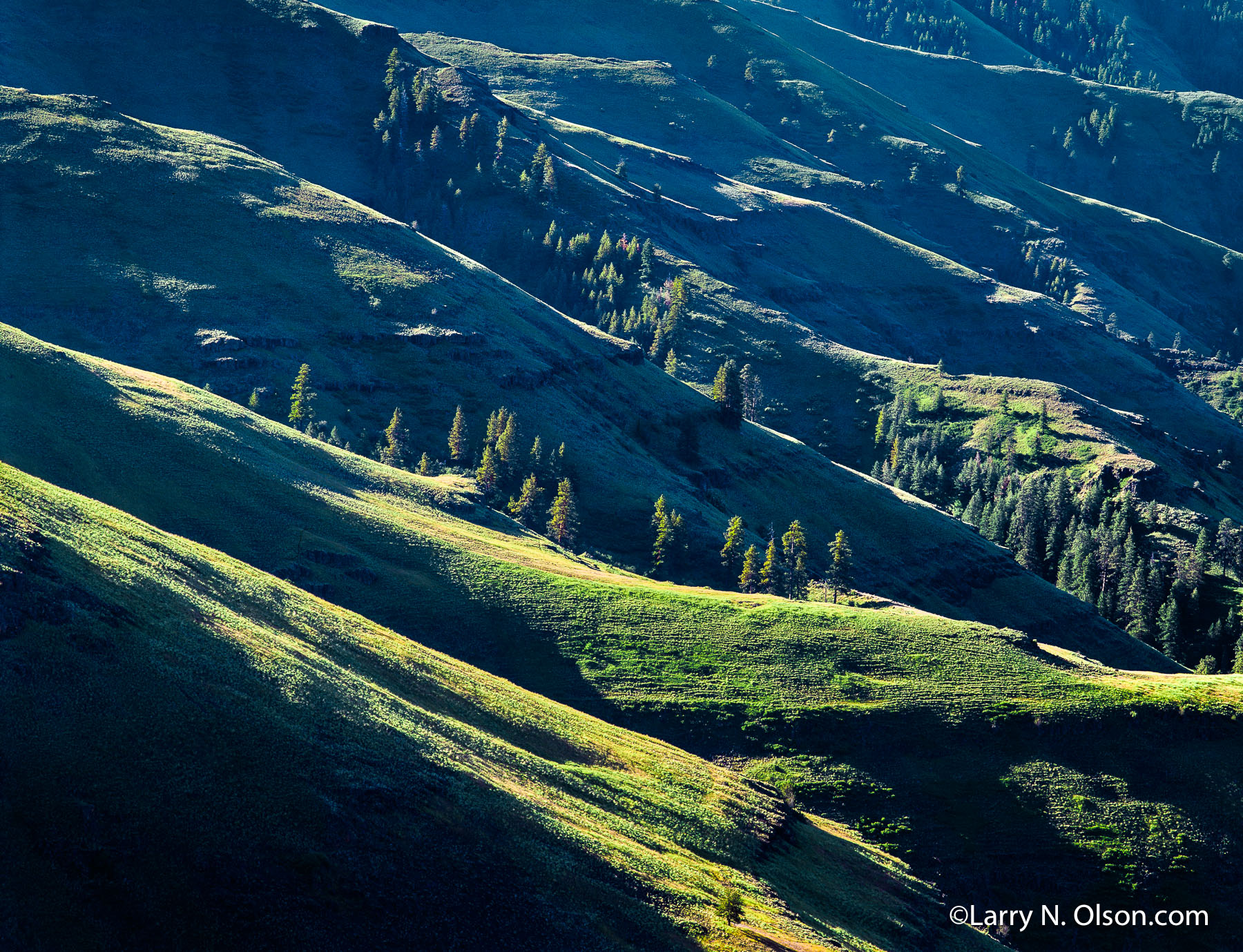 Joseph Creek Canyon, OR | Lush green slopes and ridgelines of Table Mountain illuminated by early morning sun.