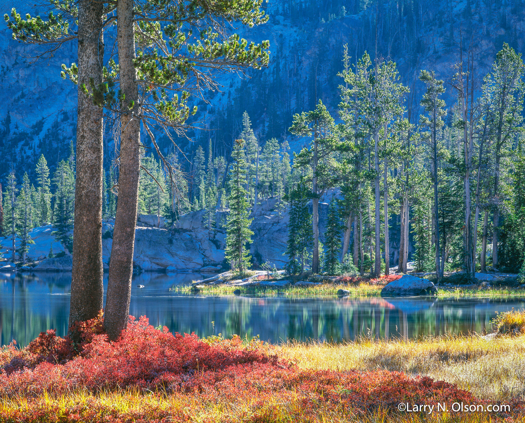 Imogene Lake, Sawtooth Mountains Wilderness, ID | October temperatures turn the Huckelberry scarlet red and the grasses golden.