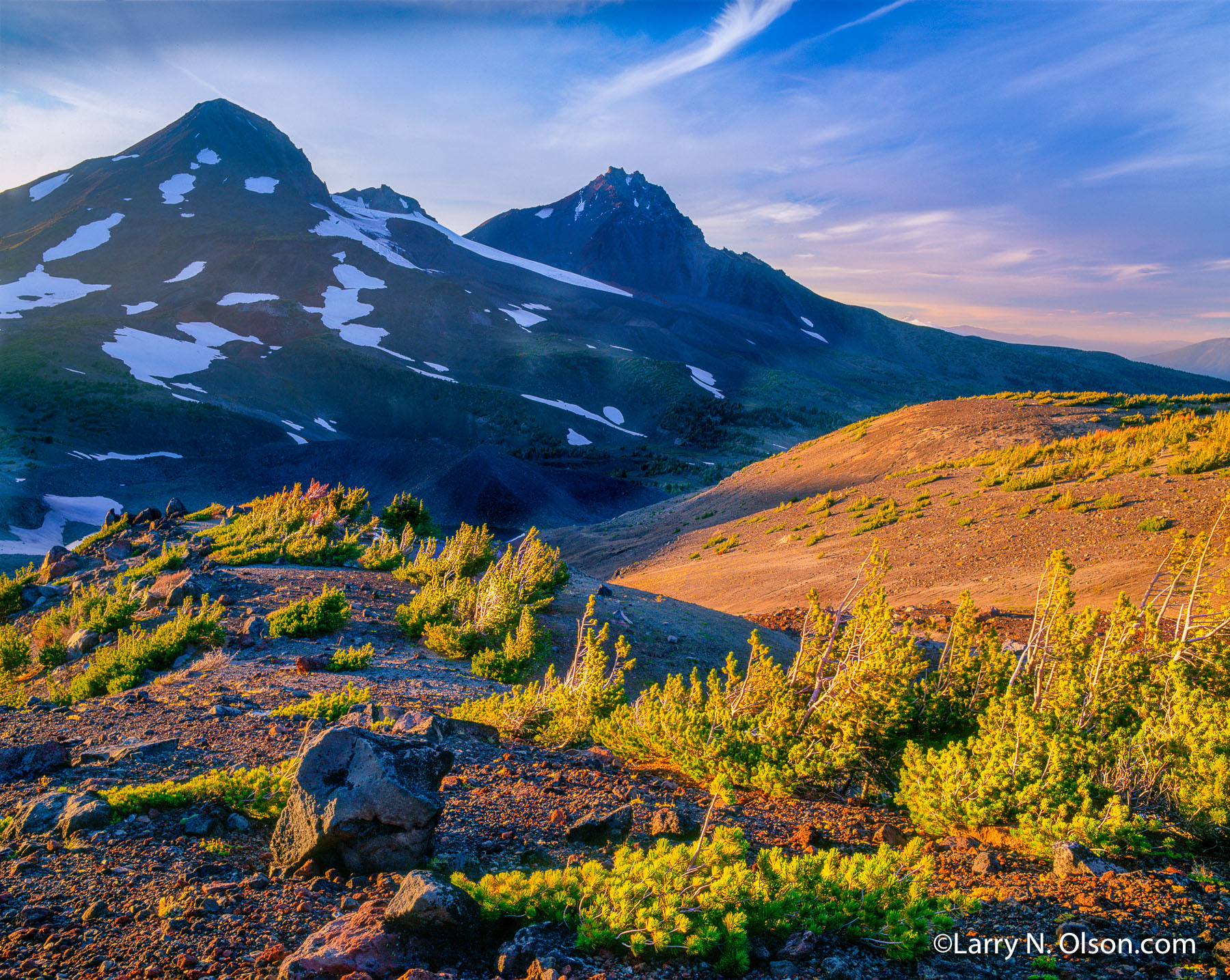 Three Sisters Wilderness #2 , OR | Middle and North sister,White Bark Pine in the late summer.