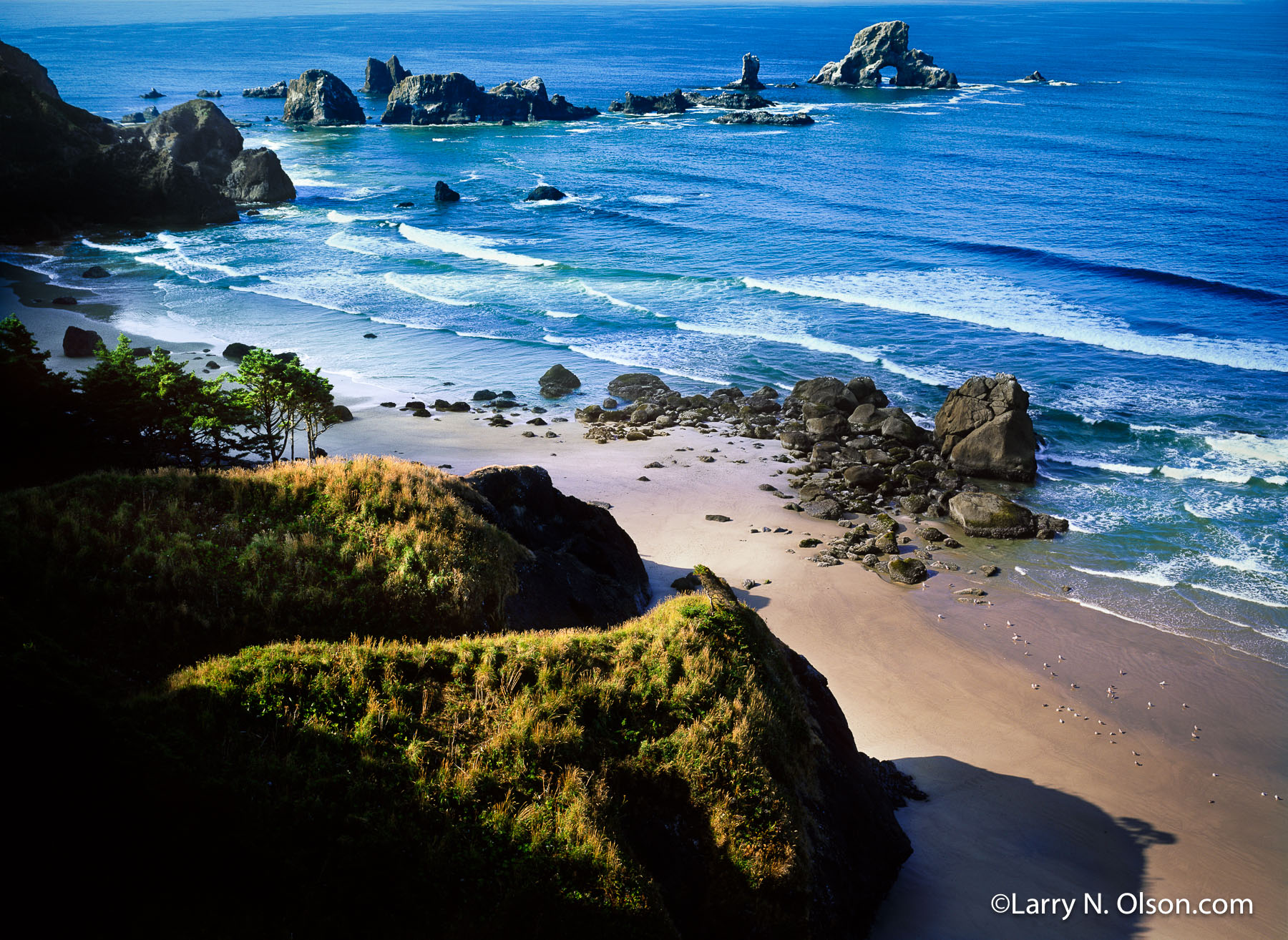 Ecola Point #3, Ecola State Park, OR | The surf rolls onto the beach at low tide. Some of the Oregon Islands National Wildlife Refuge can be seen in the background.