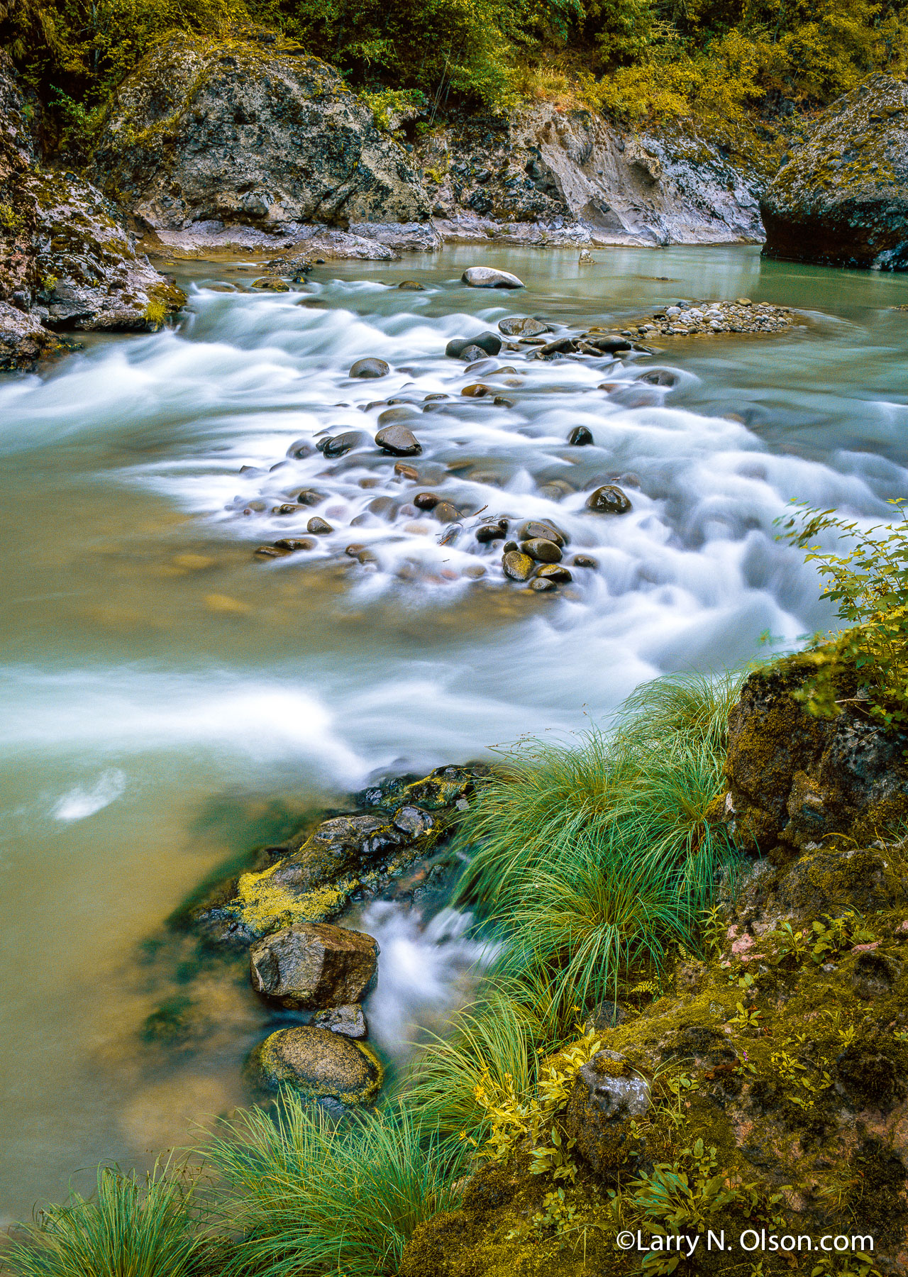 Sandy River Riffle, OR | 