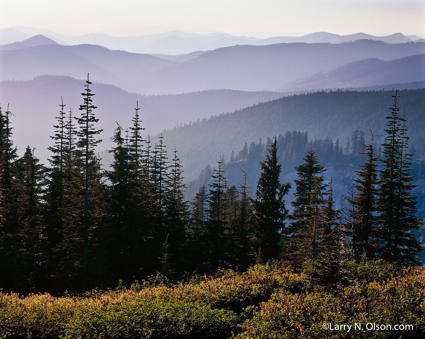 Sandy River Watershed and Cascades, OR | The evening light silhouettes the myriad ridgelines and forest.