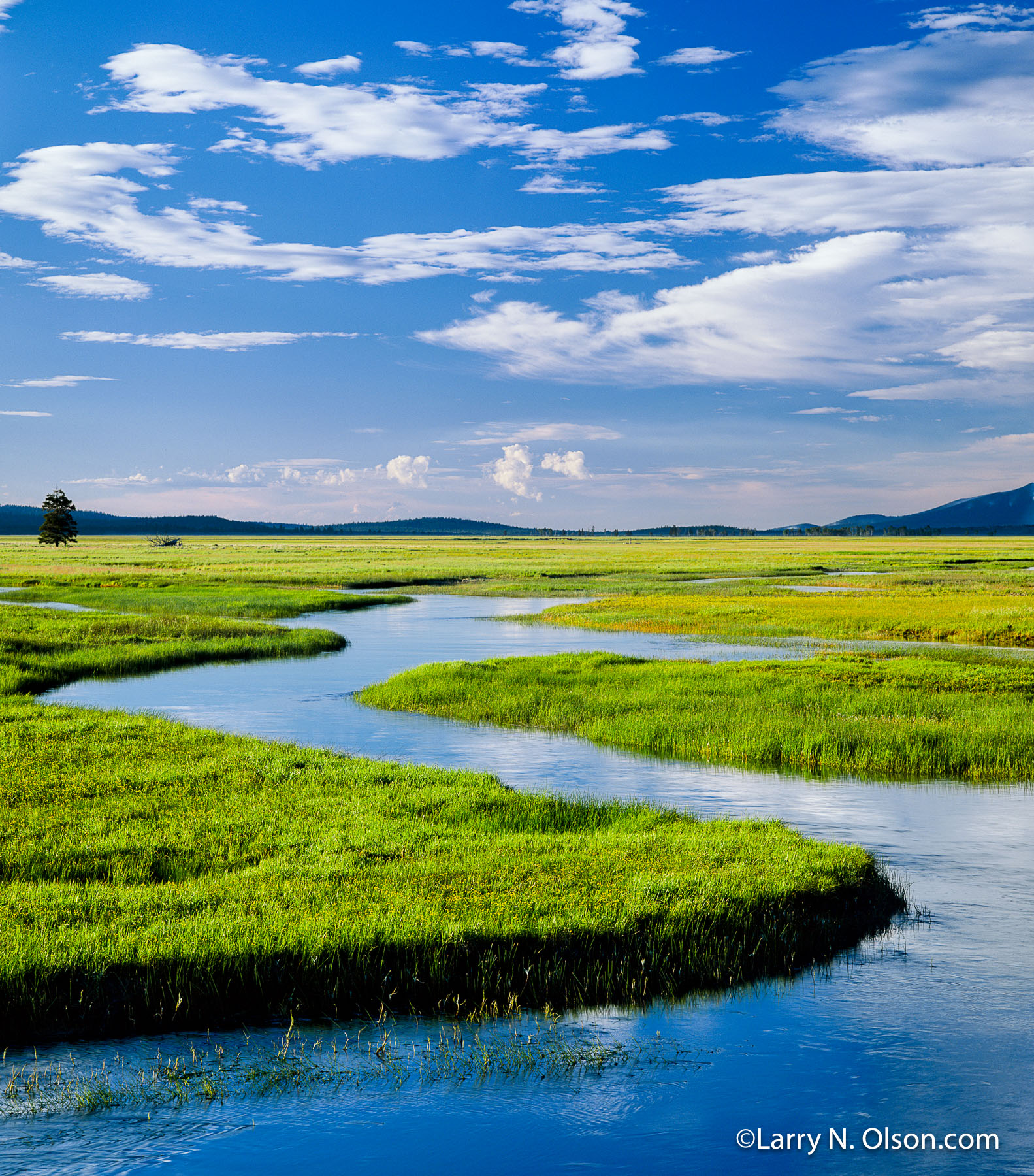 Sycan Marsh, Klamath Basin, OR, #67999 | A slow flowing sheet of water supports an ecosystem of life here in this wetland of the Sycan River.