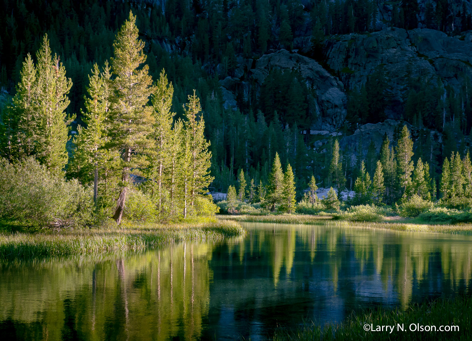 Shadow Creek, Ansel Adams Wilderness, Ca. | The setting sun highlights the riparian zone along Shadow Creek.