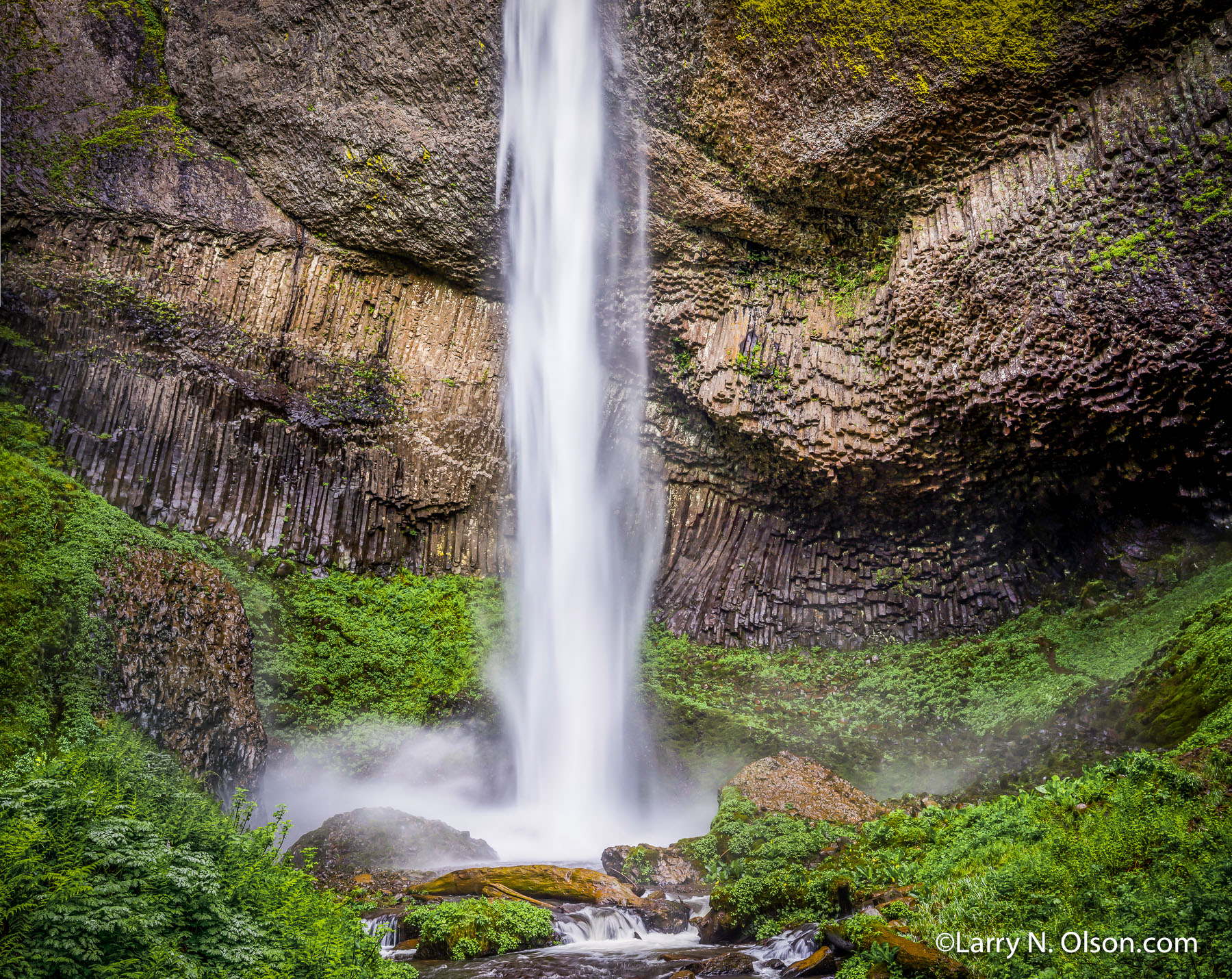 Latourell Falls, Columbia River Gorge, OR | Columnar basalt provides a stunning backdrop for this  plummeting waterfall.