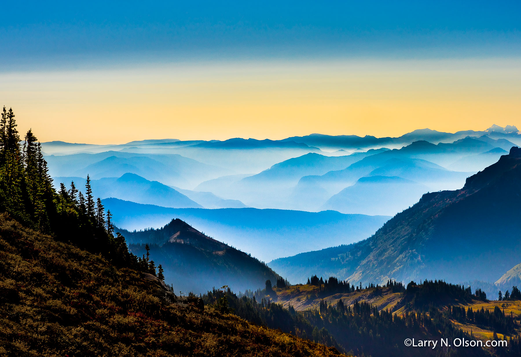 Stevens Canyon, Mount Rainier National Park, WA | Early morning fog shrouds Stevens Canyon on Mount Rainier, WA.