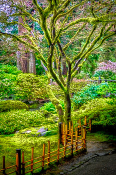 Japanese Garden, Portland, Oregon | 