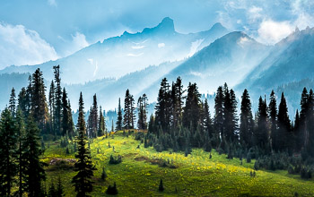 Cowlitz Chimneys, Mount Rainier National Park, WA | Beautiful light rays and fog shroud the Cowlitz Chimneys and Barrier Peak in Mount Rainier National Park, WA