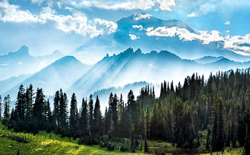 Governors Ridge, Mount Rainier National Park, WA | Rays of sunlight pass through clouds and fog on Governors Ridge, Mount Rainier National Park, WA