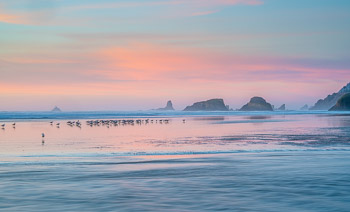 Cannon Beach, OR | Gulls on the beach at sunset.