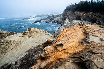 Shore Acres State Park, Oregon Coast | 