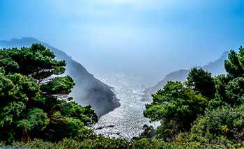 Port Orford Heads State Park, , Oregon | 