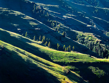 Joseph Creek Canyon, OR | Lush green slopes and ridgelines of Table Mountain illuminated by early morning sun.