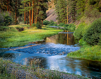 North Fork, Crooked River, OR | An iddelic bend in the river is compleat with a grassy bench and old growth Pondersa Pines.