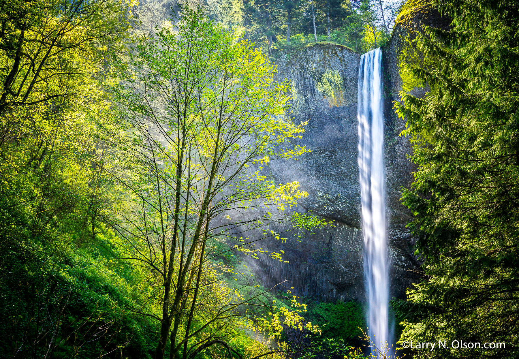 Latourell Falls, Columbia Gorge, OR | 