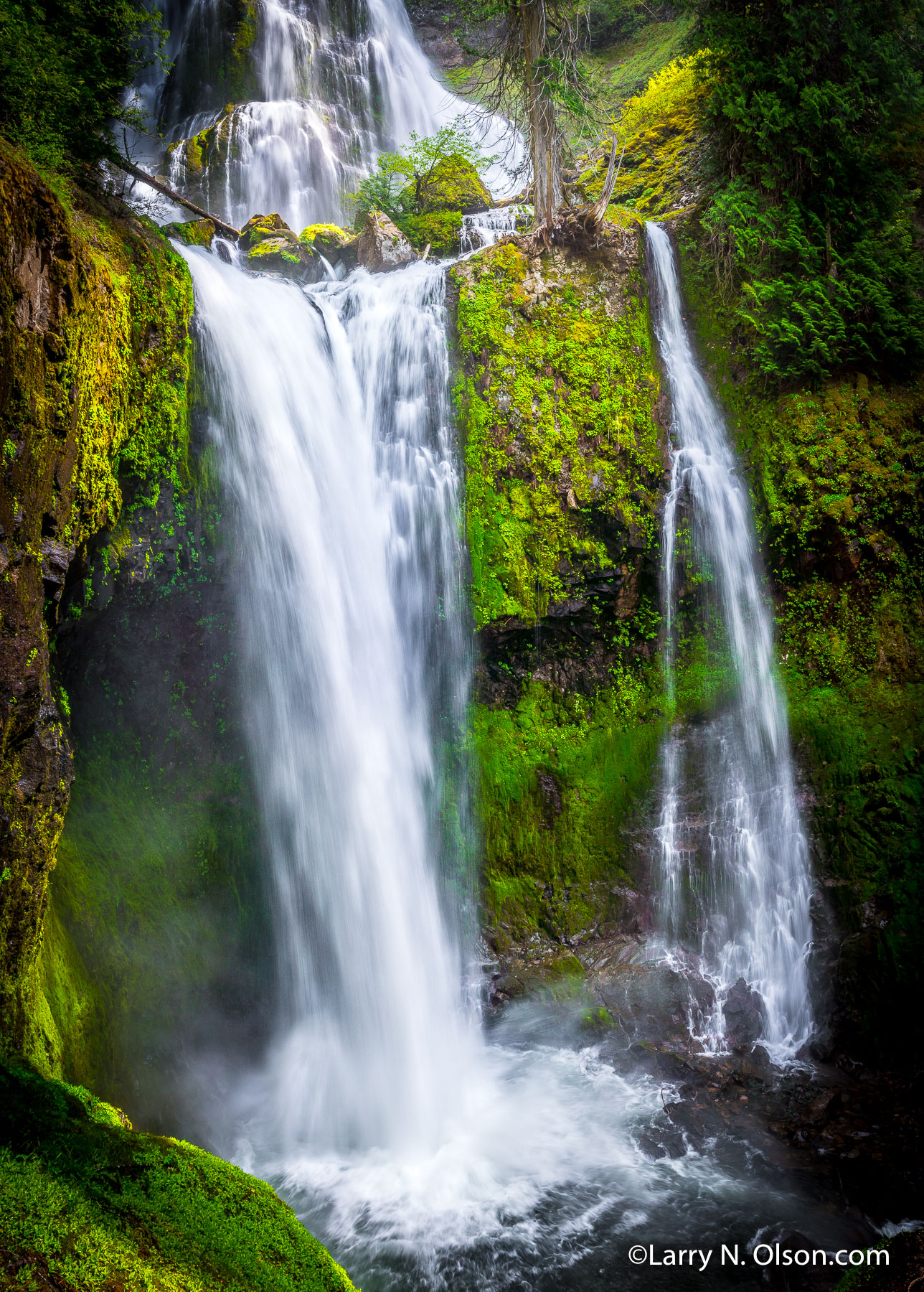 Falls Creek Falls #2, WA | Falls Creek Falls, WA, Falls Creek Falls, WA, plunge pool, mossy, verdent, double falls,