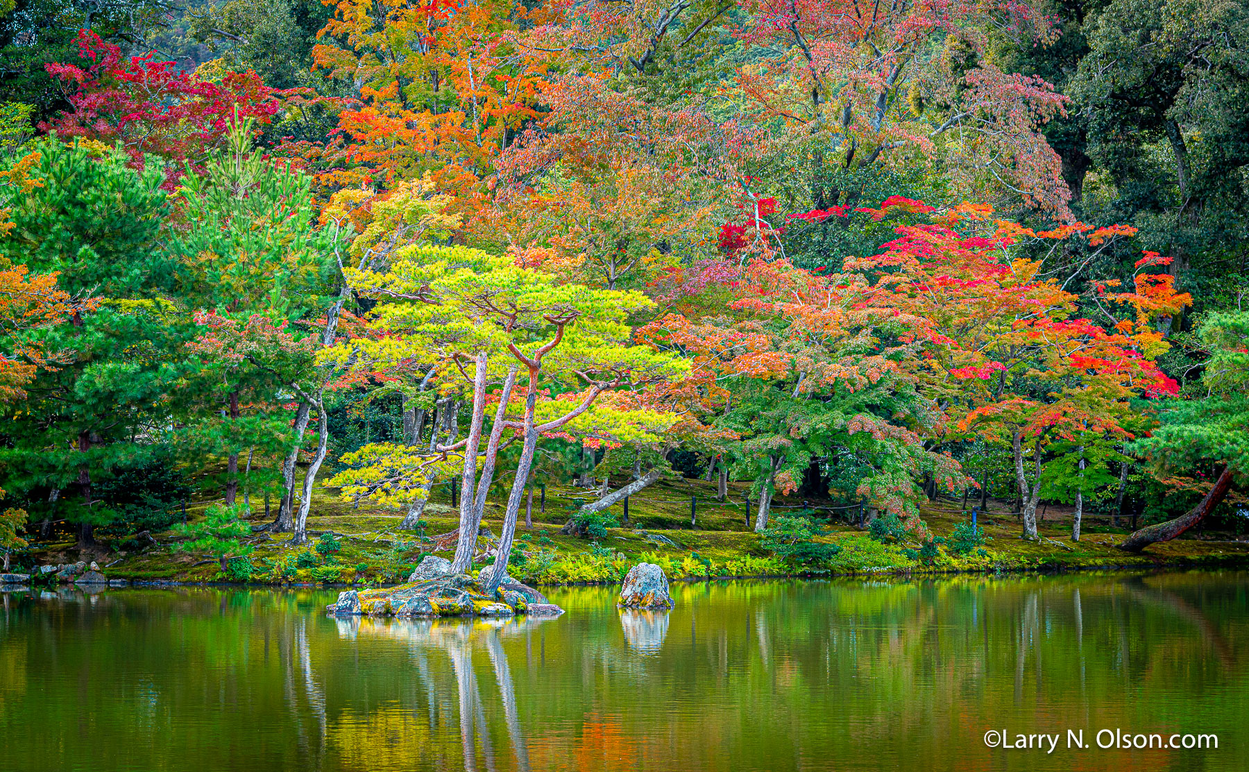 Golden Temple Pond, Autumn  Forest, Kyoto, Japan | 