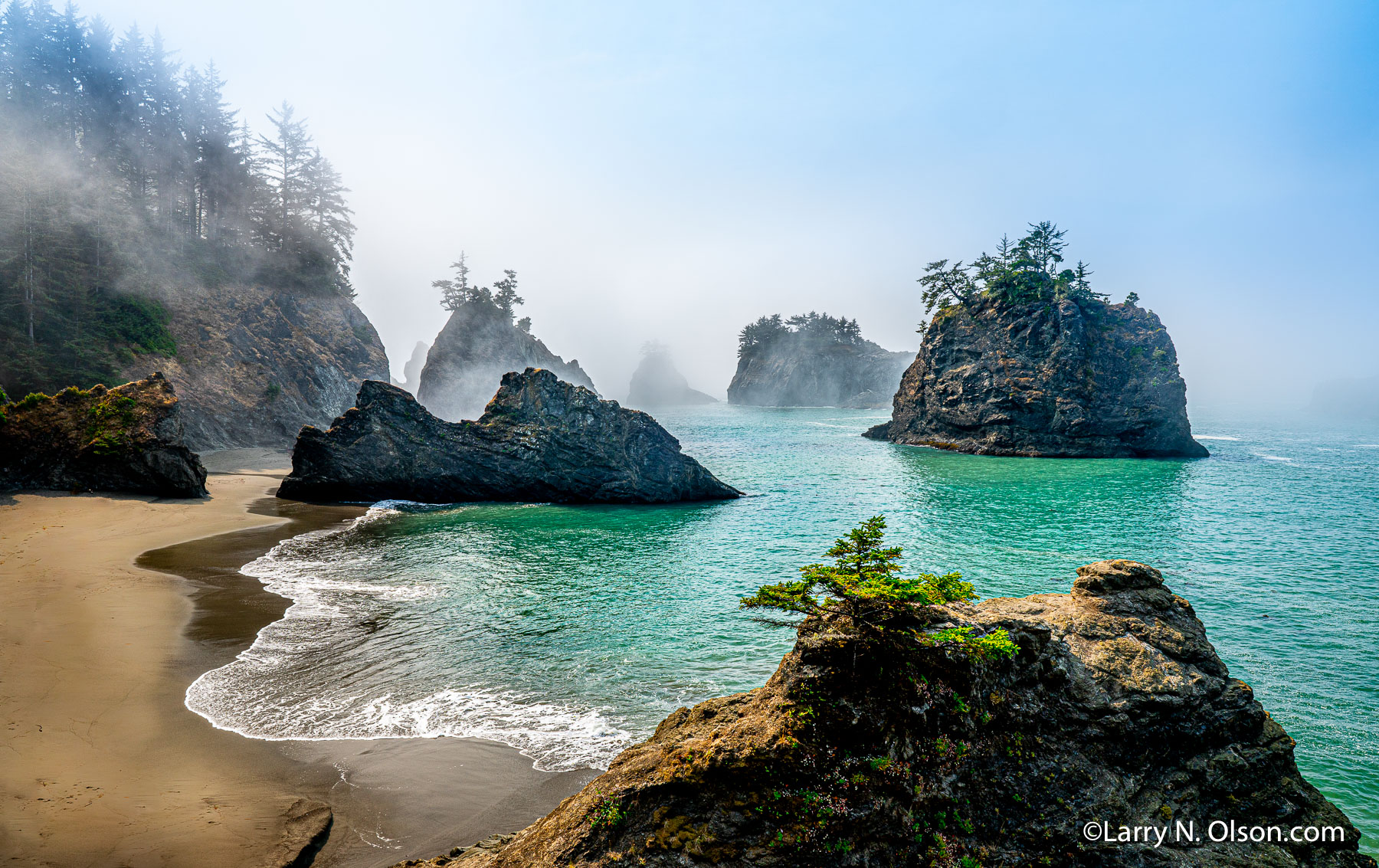 Samuel Boardman State Park, Oregon Coast | 