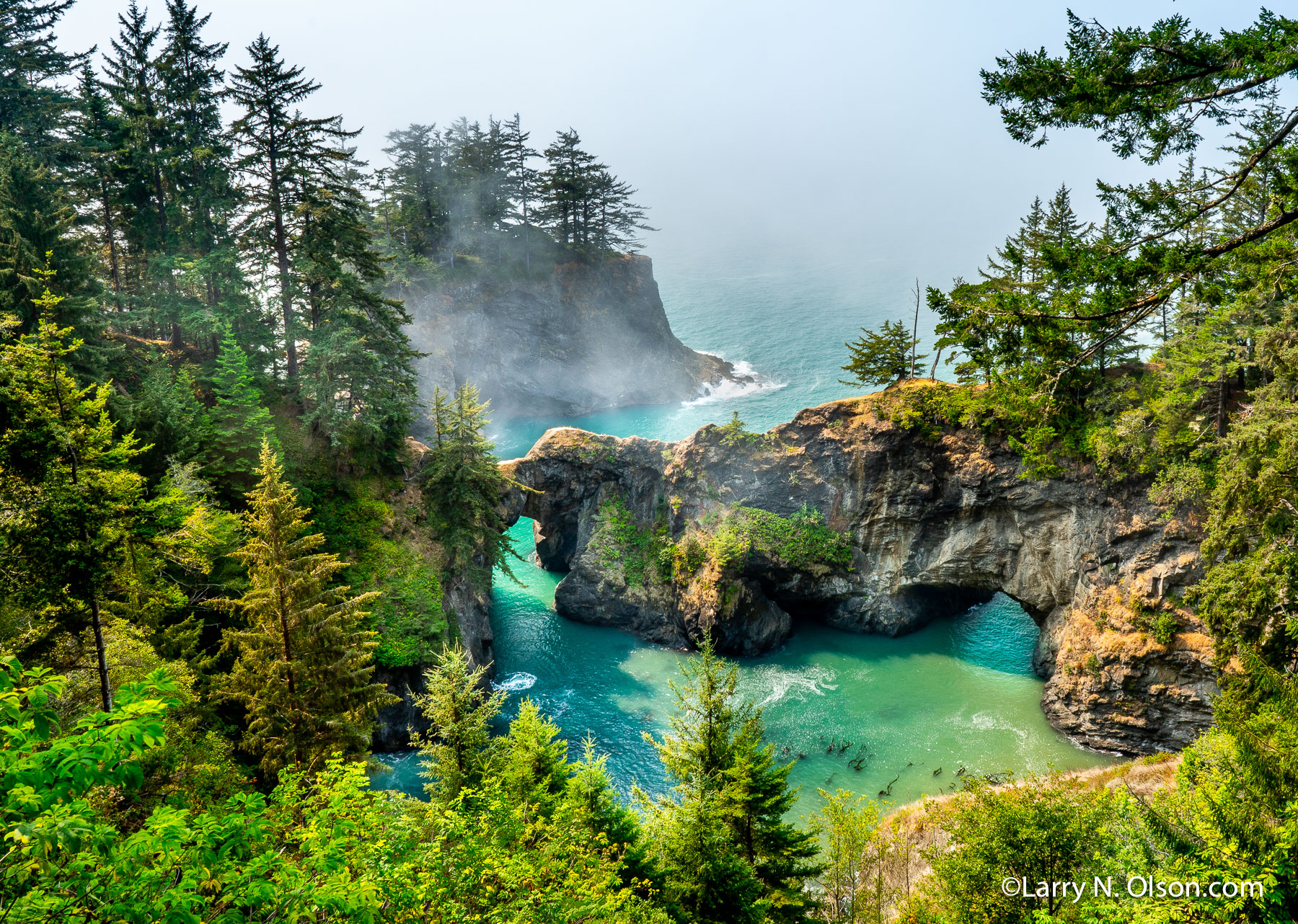 Sea Arch, Samual Boardman State Park, Oregon | 