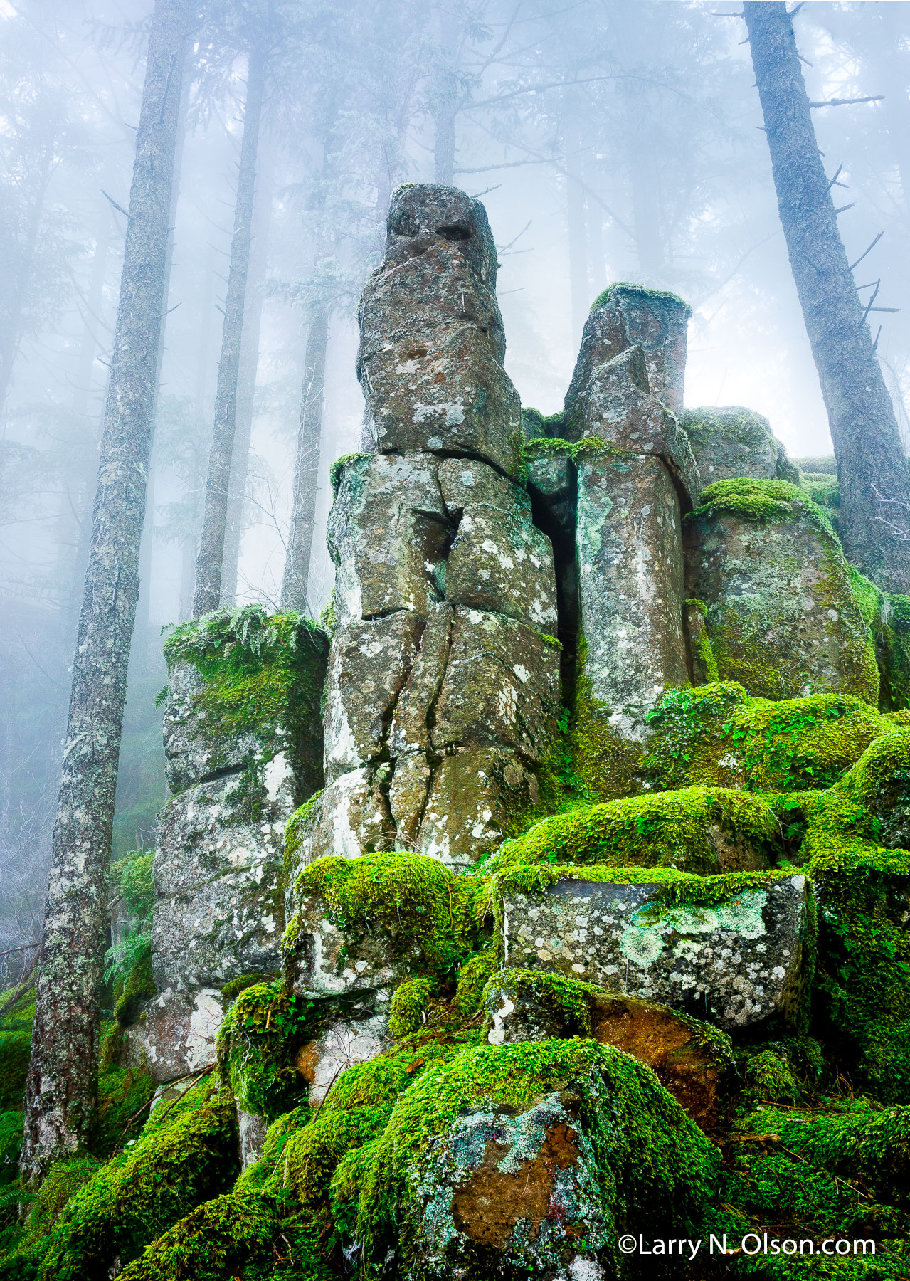 Basalt Pillars, Ruckel Ridge, Columbia Gorge, OR | Fog shrouds columnar basalt towers at Ruckle Ridge.