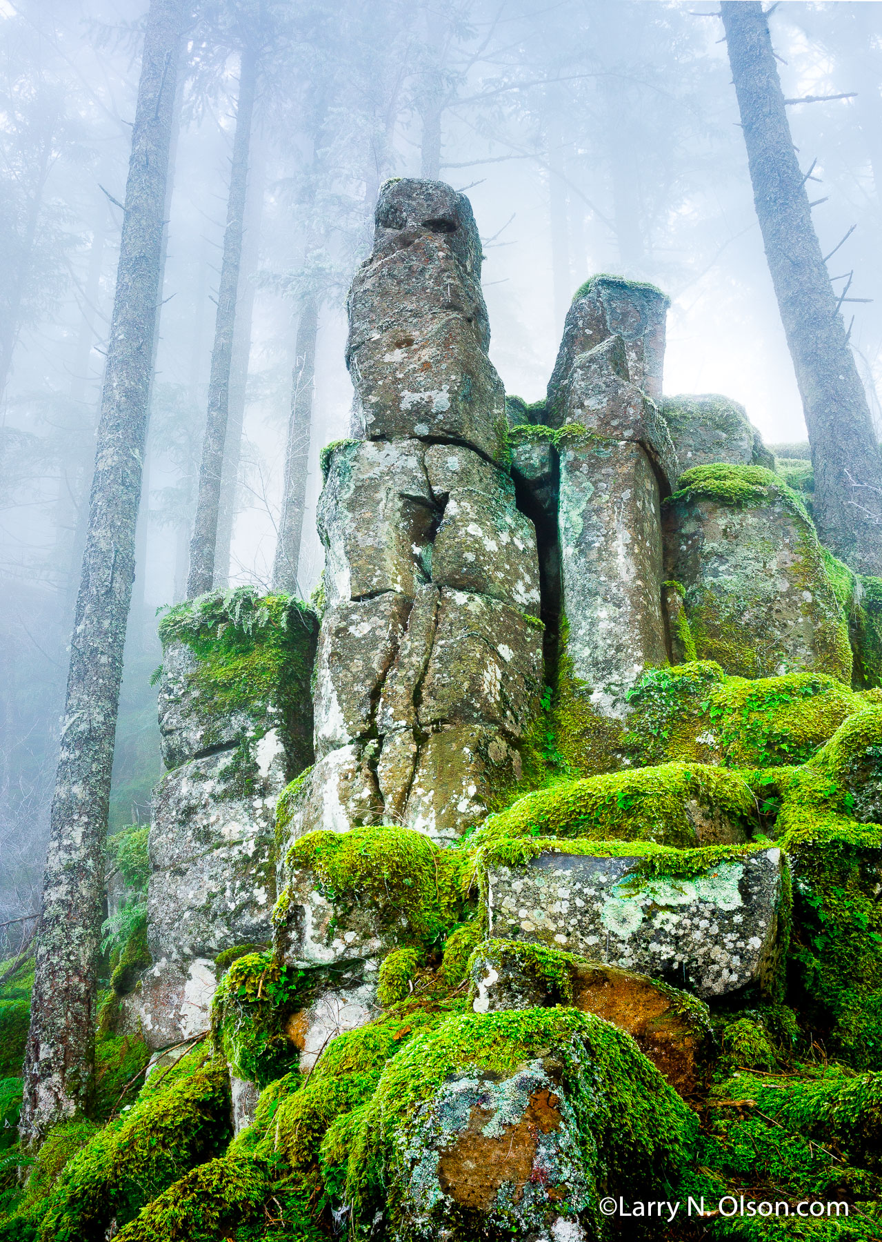 Basalt Pillars, Ruckel Ridge, Columbia Gorge, OR | Fog shrouds columnar basalt towers at Ruckle Ridge.