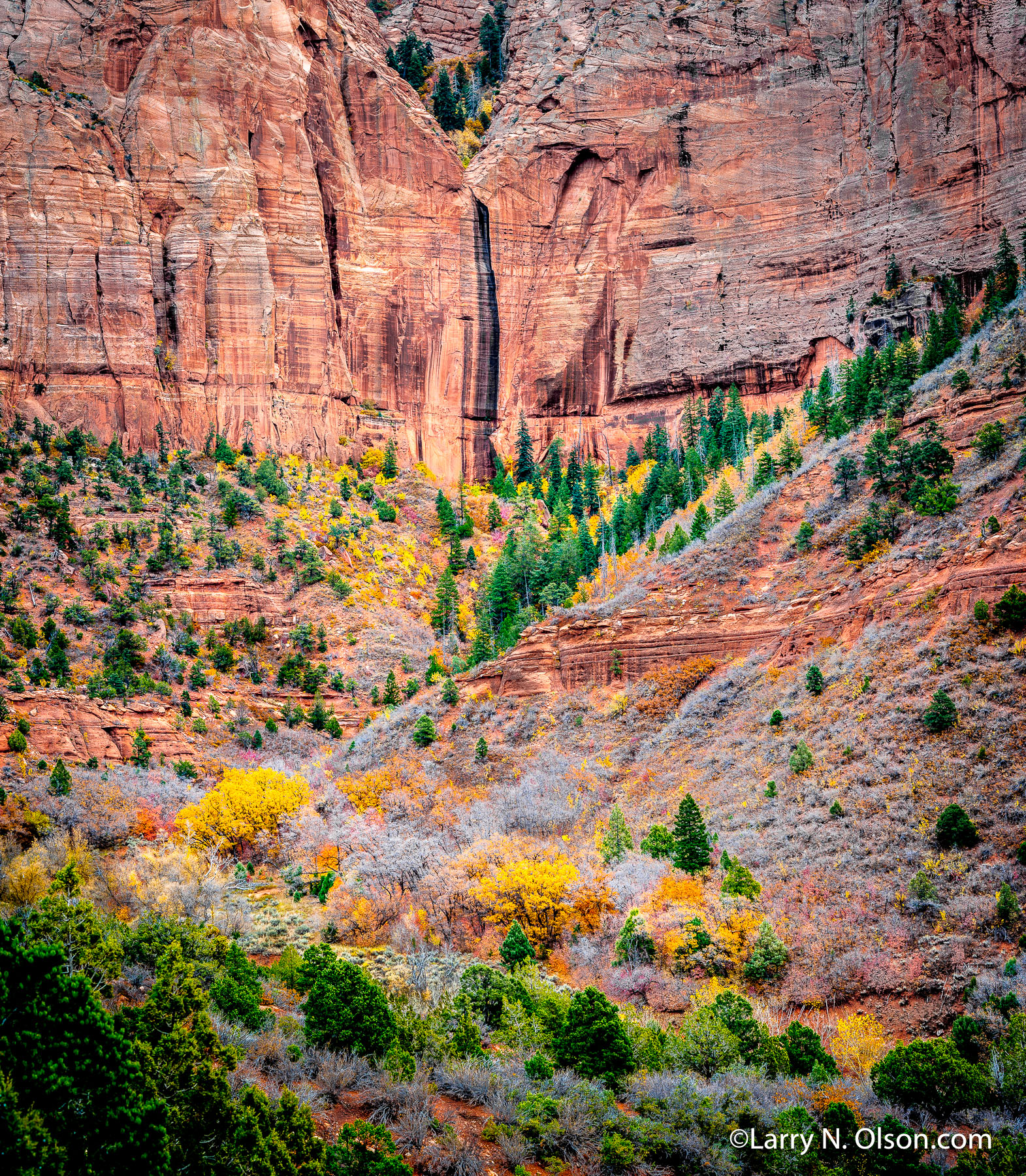 Autum, Kolob Canyon, Zion National Park, UT | 