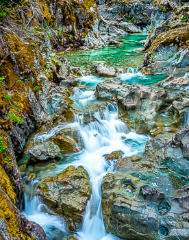 Ohanapecosh River, Mount Rainier National Park, WA | The crystline clear water of  Ohanapecosh River flows through an old growth forest,