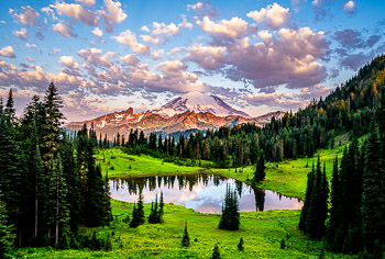 Tipsoo Lake, Mount Rainier National Park, Washington | A glorious sunrise in late July.