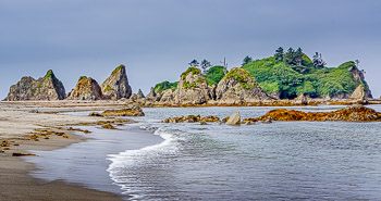 Toleak Point, Olympic National Park, WA | 