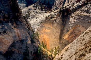 Zion National Park, UT | 