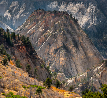 Zion National Park, UT | 