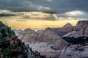 Zion National Park, UT | 
