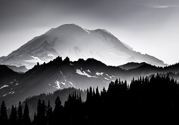 Mount Rainier National Park, WA | 