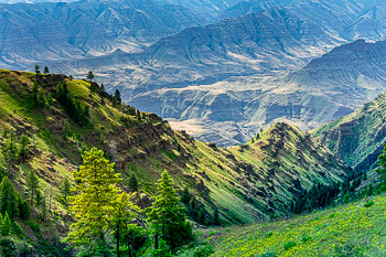 Imnaha River Canyon, Hells Canyon National Recreation Area, Oregon | 