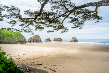 Ecola State Park, OR | 