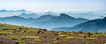 Mount Rainier National Park, WA | 